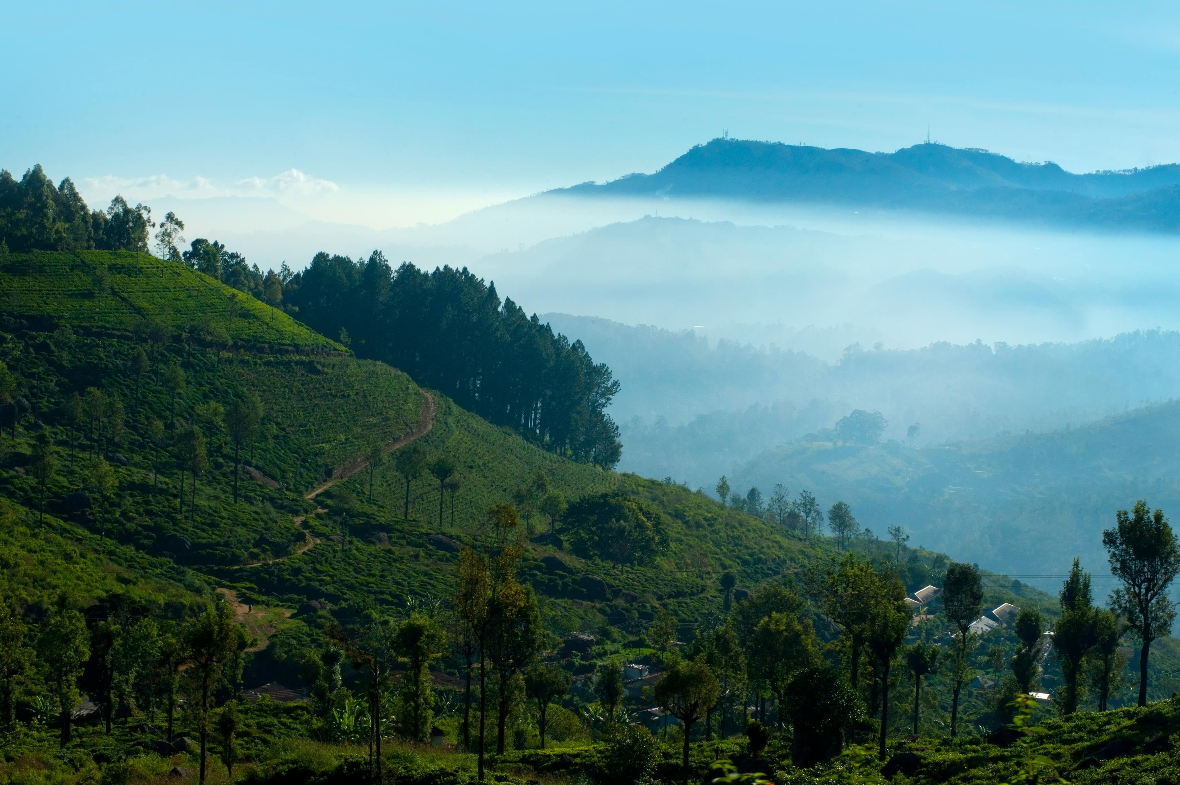 Nuwara Eliya